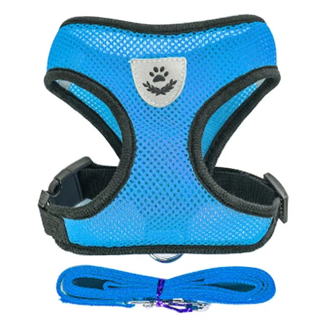 Harnais pour chat, gilet, laisse de marche pour chiots