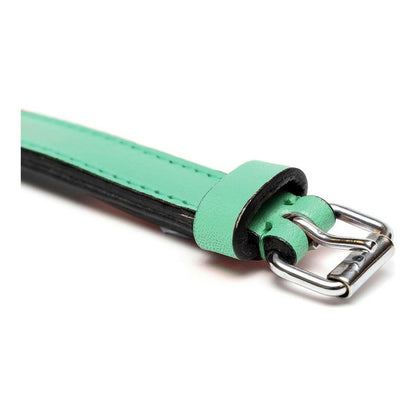Dog collar Gloria Padded Green (35 x 1,5 cm)-5