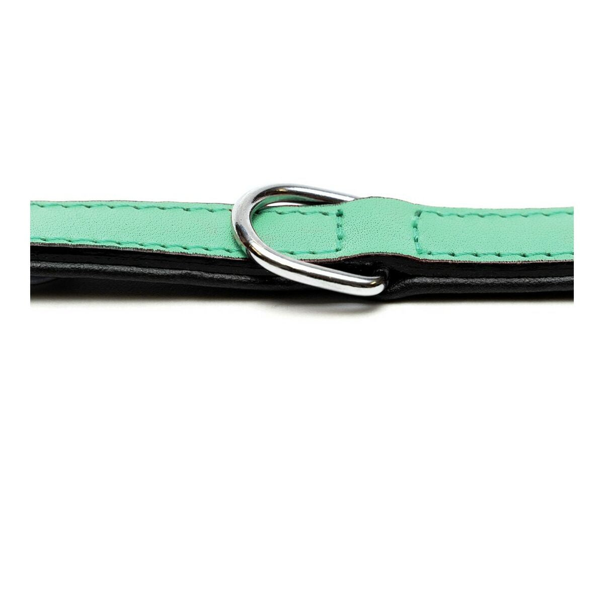 Dog collar Gloria Padded Green (35 x 1,5 cm)-2