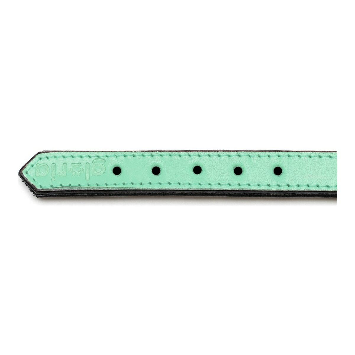 Dog collar Gloria Padded Green (35 x 1,5 cm)-1