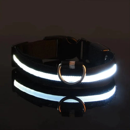Collier réfléchissant à LED pour chien, clignotant la nuit