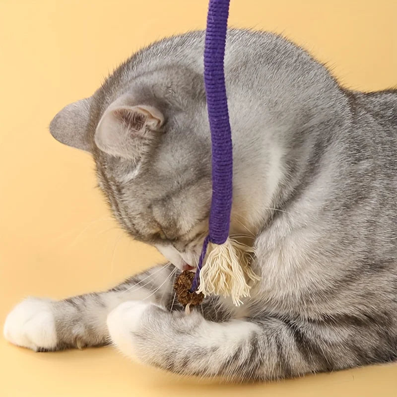 Jouet en corde à mordre pour chat, durable et qui fait grincer les dents