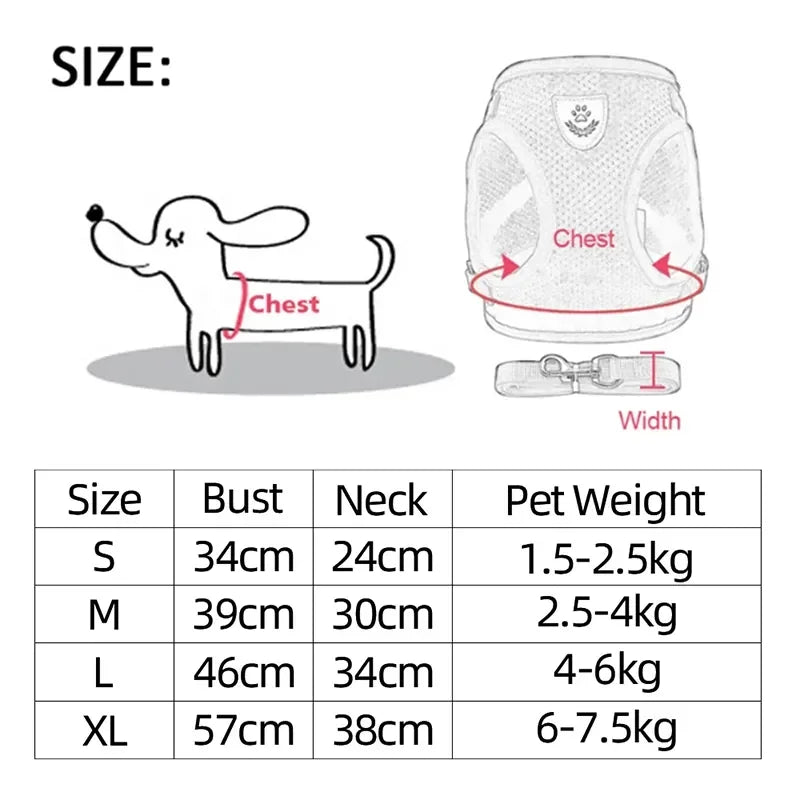 Harnais pour chat, gilet, laisse de marche pour chiots