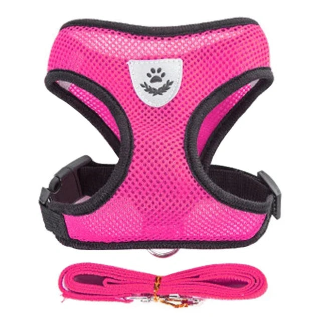 Harnais pour chat, gilet, laisse de marche pour chiots