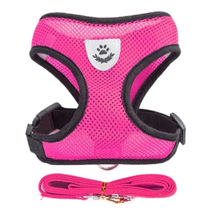 Harnais pour chat, gilet, laisse de marche pour chiots