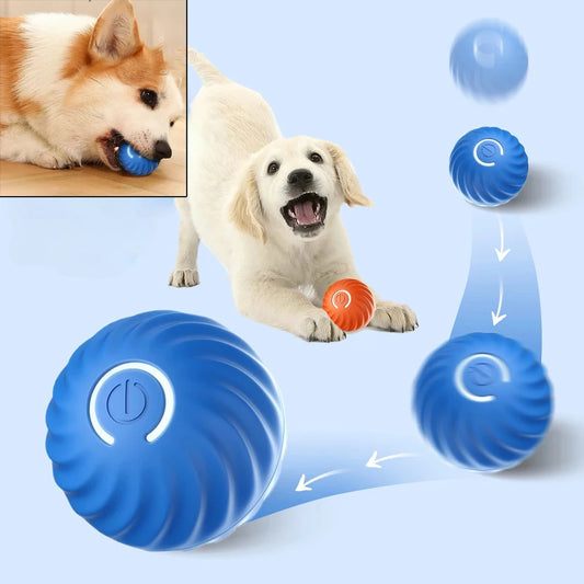 Jouet pour chien, balle à mouvement automatique