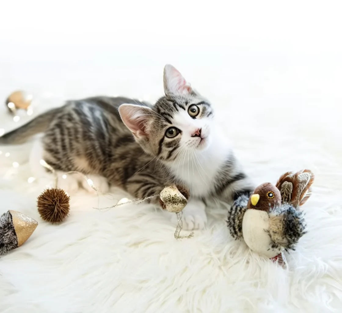 Jouets interactifs pour chats simulation d'oiseau électrique