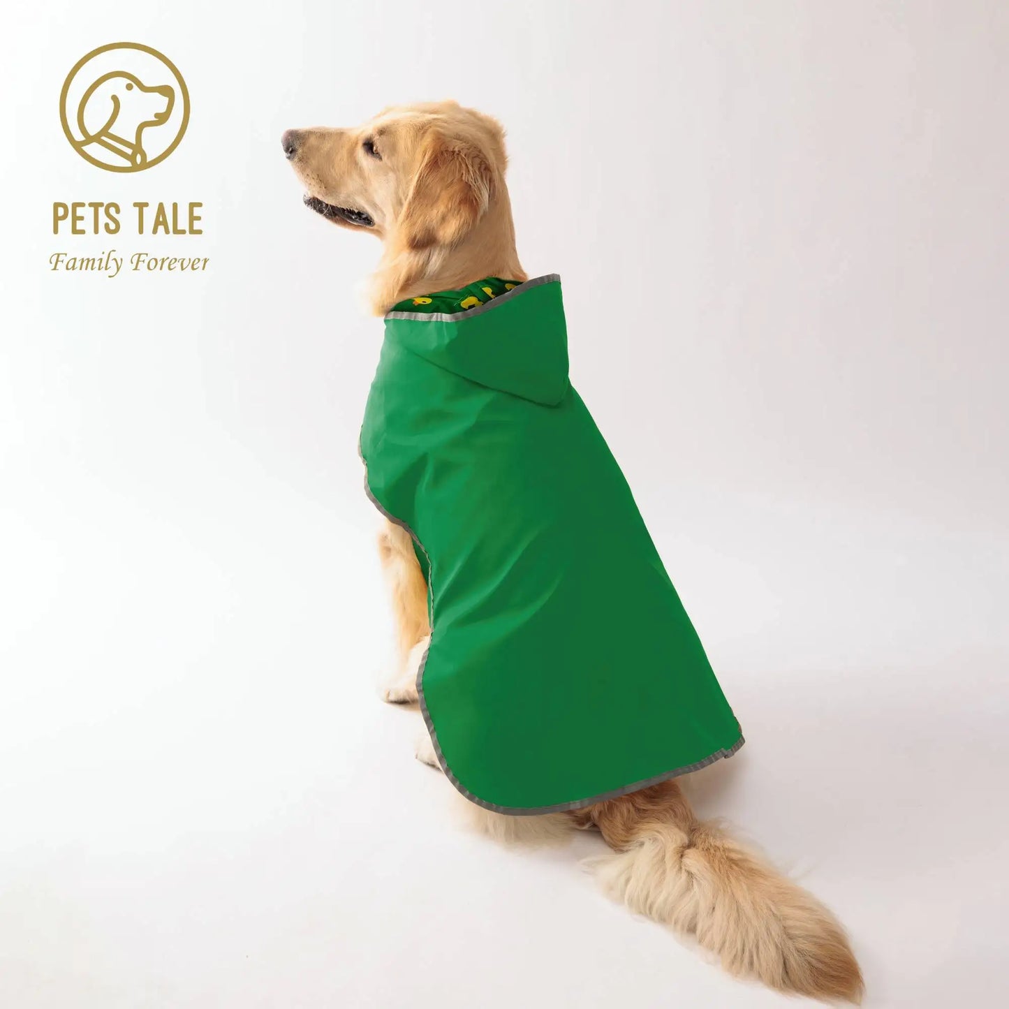 Gardez votre chiot au sec et élégant