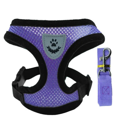 Harnais pour chat, gilet, laisse de marche pour chiots
