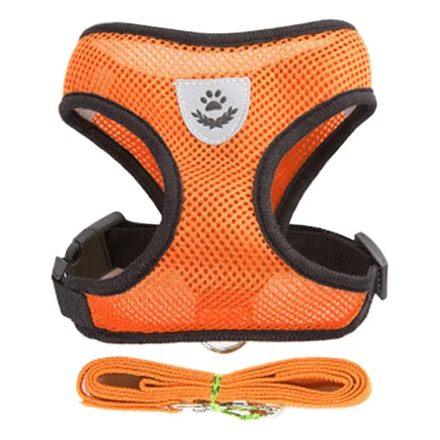 Harnais pour chat, gilet, laisse de marche pour chiots