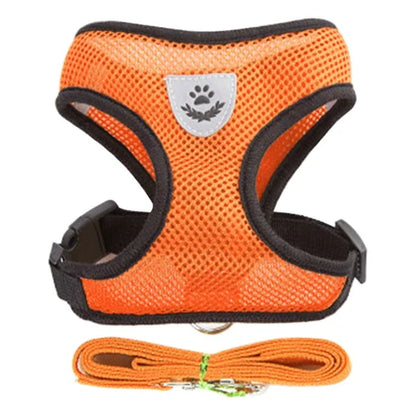 Harnais pour chat, gilet, laisse de marche pour chiots