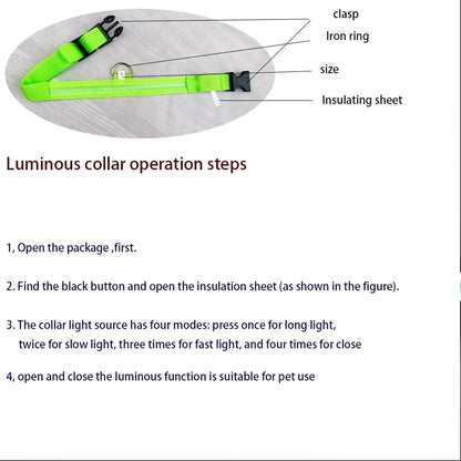 Collier réfléchissant à LED pour chien, clignotant la nuit