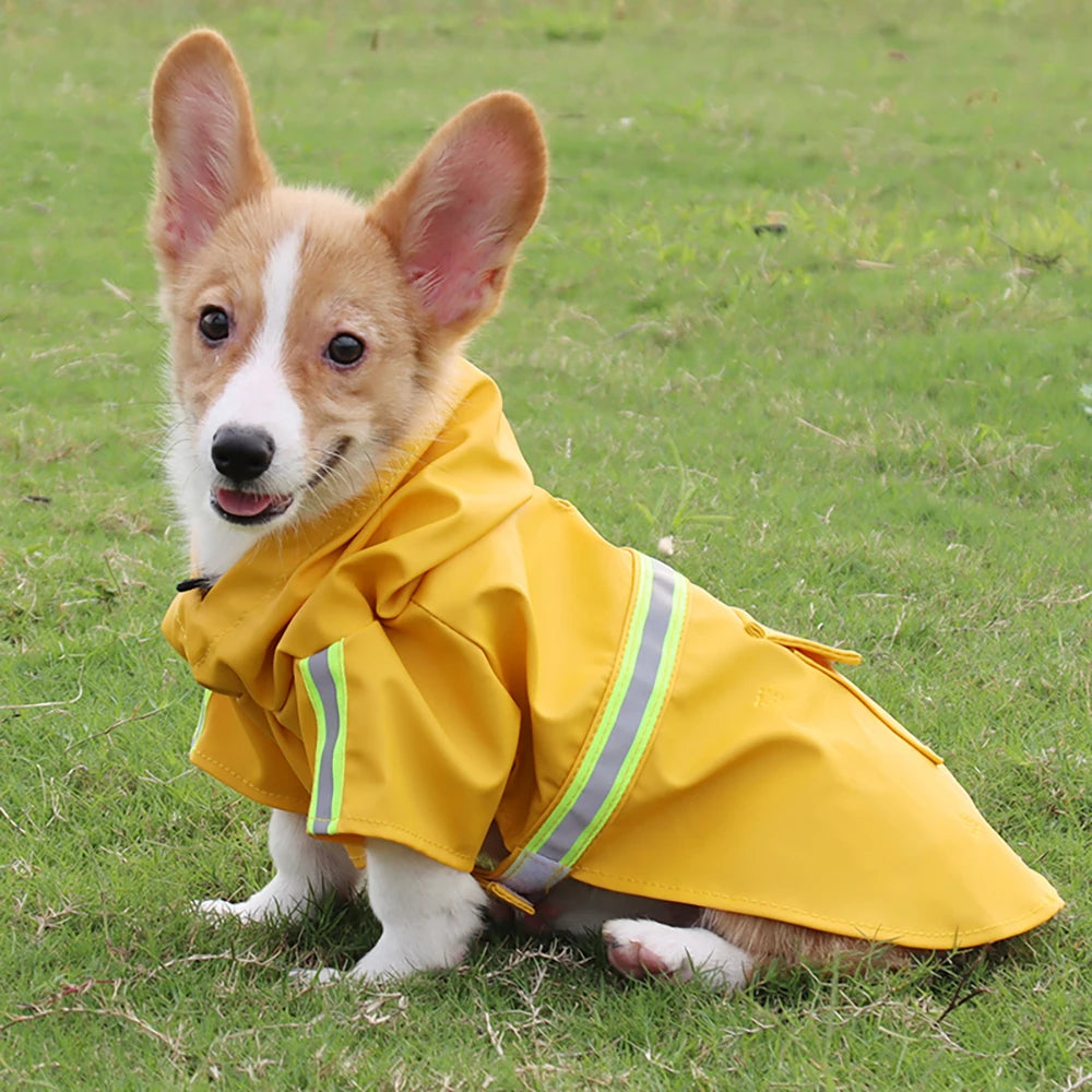 Manteau imperméable pour chien de grande taille