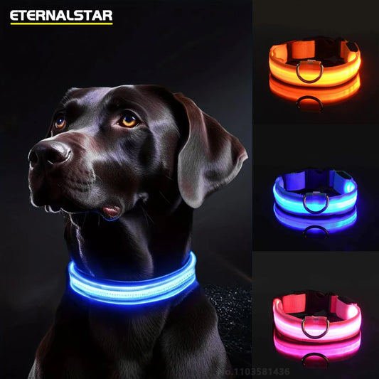 Collier réfléchissant à LED pour chien, clignotant la nuit