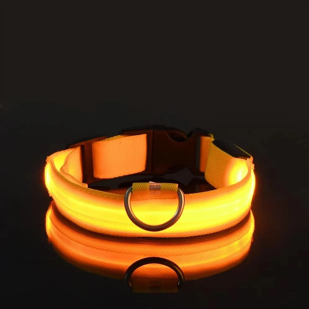 Collier réfléchissant à LED pour chien, clignotant la nuit