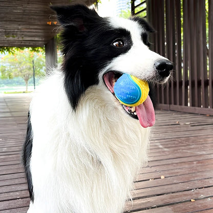 Jouets interactifs pour chiens, jouets souples pour le nettoyage des dents