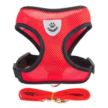 Harnais pour chat, gilet, laisse de marche pour chiots