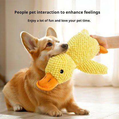 Jouet en peluche pour chien, compagnon endormi