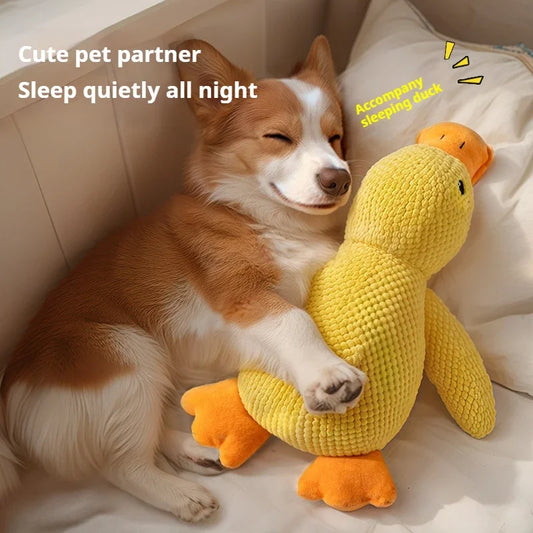 Jouet en peluche pour chien, compagnon endormi