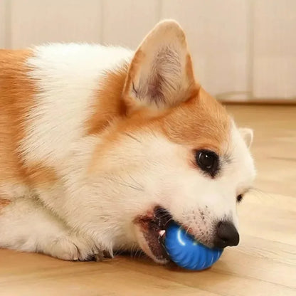 Jouet pour chien, balle à mouvement automatique