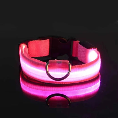 Collier réfléchissant à LED pour chien, clignotant la nuit
