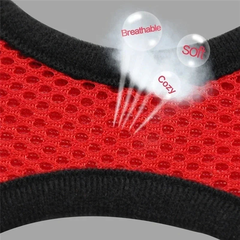 Harnais pour chat, gilet, laisse de marche pour chiots