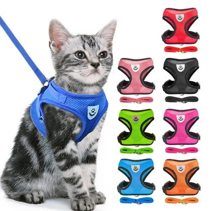 Harnais pour chat, gilet, laisse de marche pour chiots