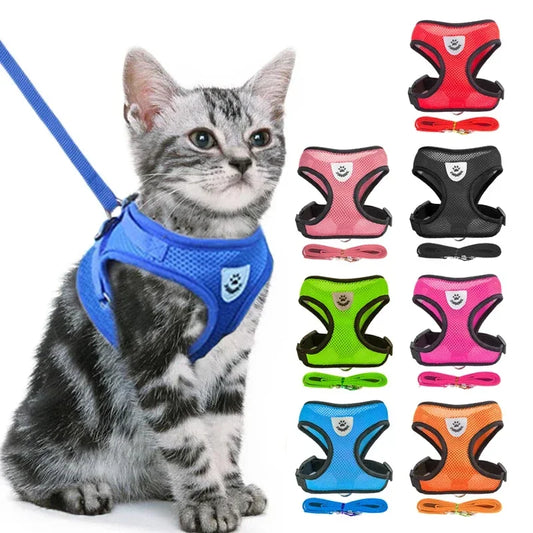 Harnais pour chat, gilet, laisse de marche pour chiots