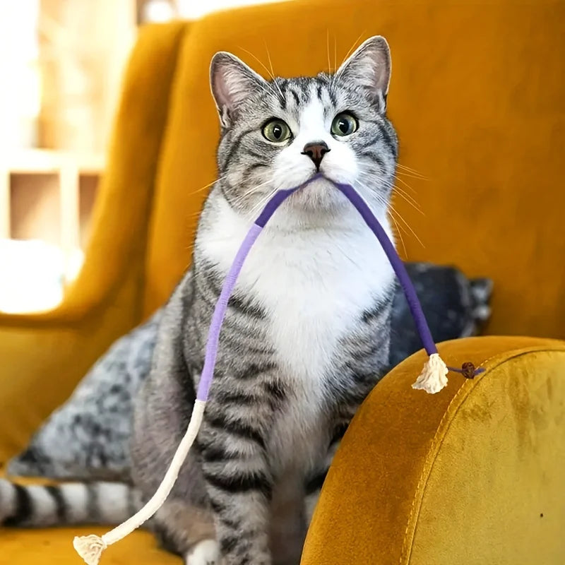 Jouet en corde à mordre pour chat, durable et qui fait grincer les dents