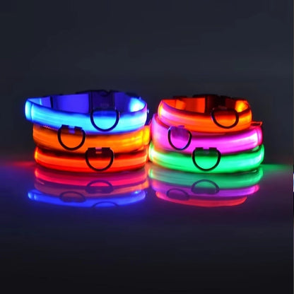 Collier réfléchissant à LED pour chien, clignotant la nuit