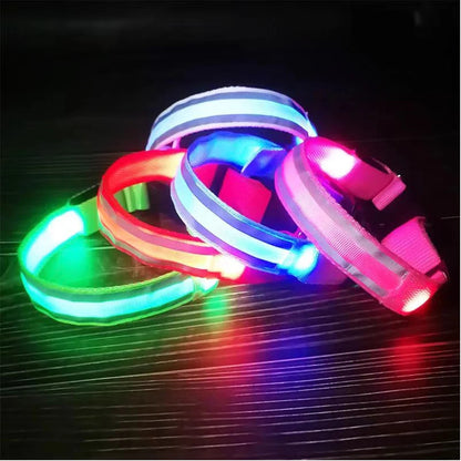 Collier réfléchissant à LED pour chien, clignotant la nuit