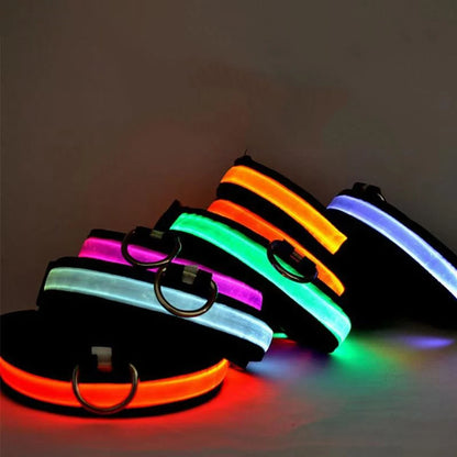 Collier réfléchissant à LED pour chien, clignotant la nuit