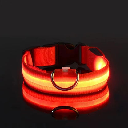 Collier réfléchissant à LED pour chien, clignotant la nuit