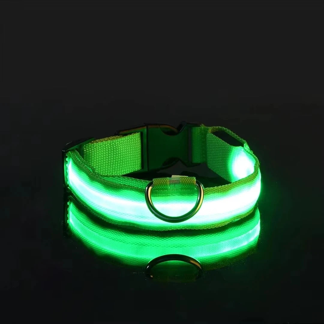 Collier réfléchissant à LED pour chien, clignotant la nuit