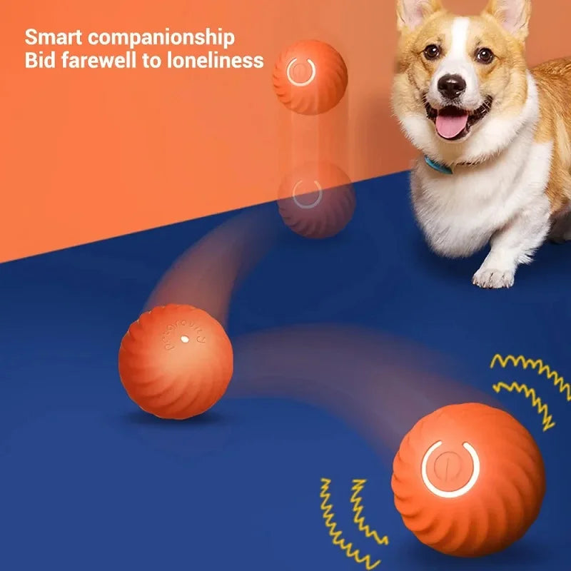 Jouet pour chien, balle à mouvement automatique
