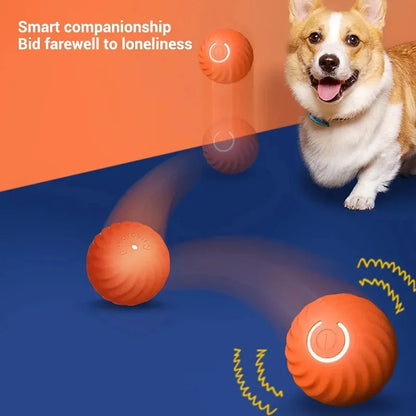 Jouet pour chien, balle à mouvement automatique