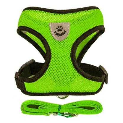 Harnais pour chat, gilet, laisse de marche pour chiots