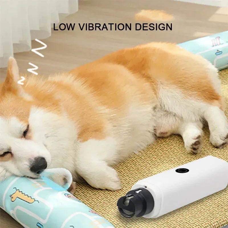 Coupe-ongles électrique pour chien rechargeable par USB