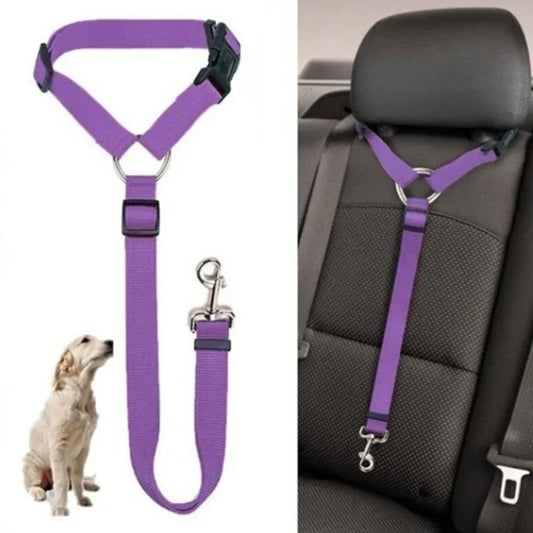 Ceinture de sécurité pour animaux de compagnie