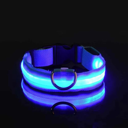 Collier réfléchissant à LED pour chien, clignotant la nuit