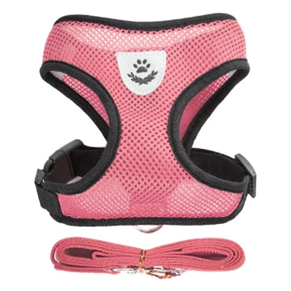 Harnais pour chat, gilet, laisse de marche pour chiots
