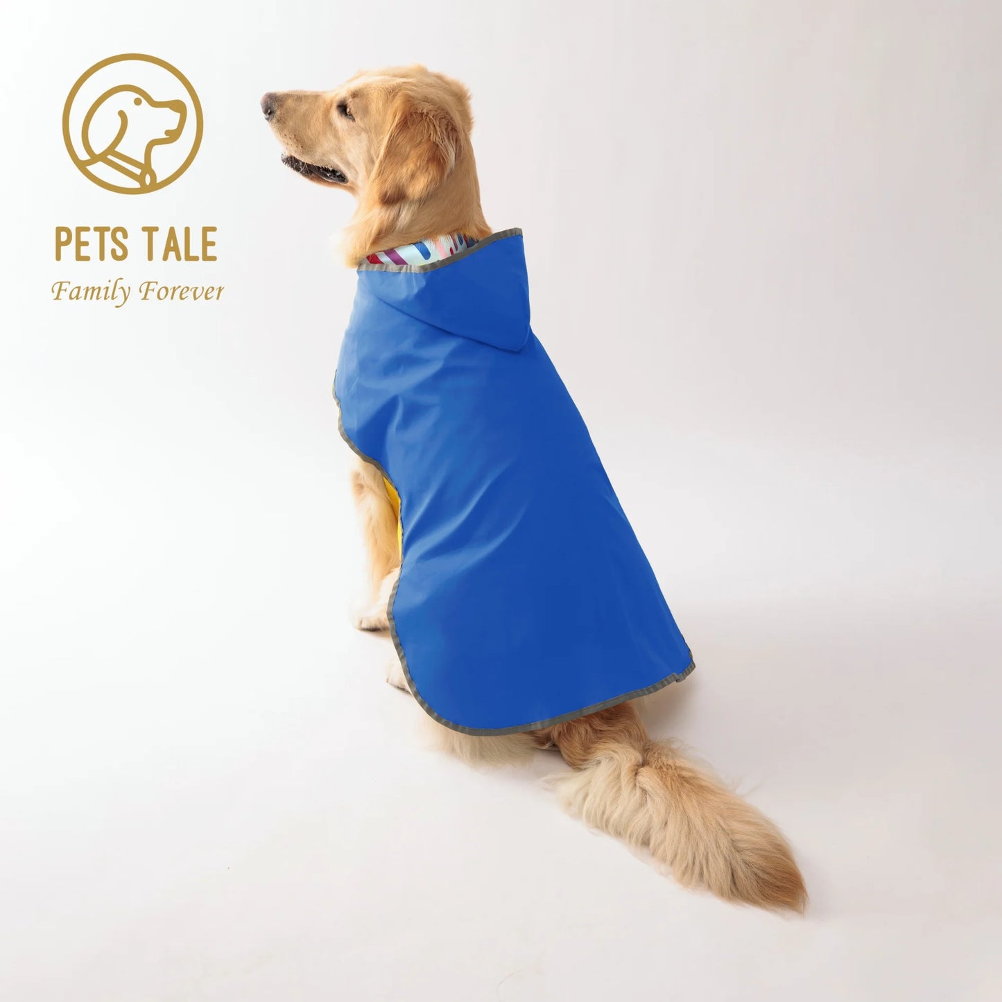 Gardez votre chiot au sec et élégant