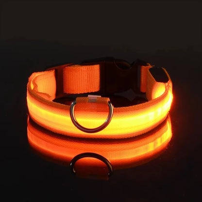 Collier réfléchissant à LED pour chien, clignotant la nuit