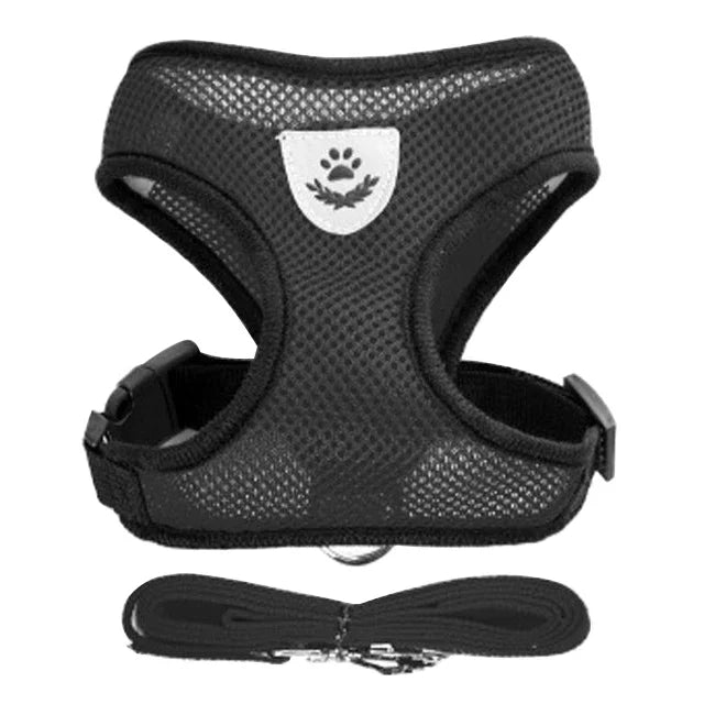 Harnais pour chat, gilet, laisse de marche pour chiots
