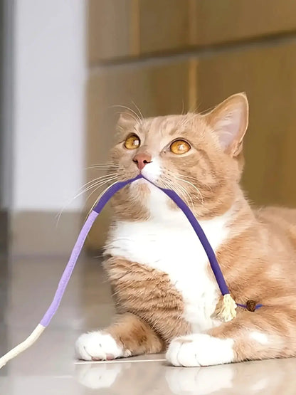 Jouet en corde à mordre pour chat, durable et qui fait grincer les dents